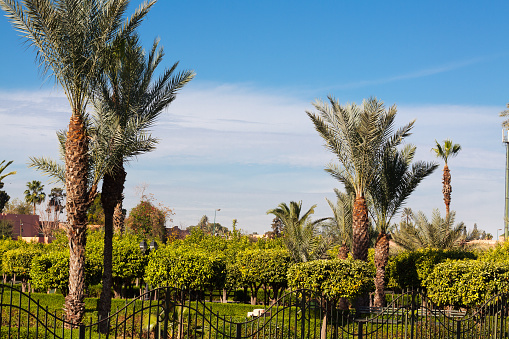 Lalla Hasna Park in Marrakech