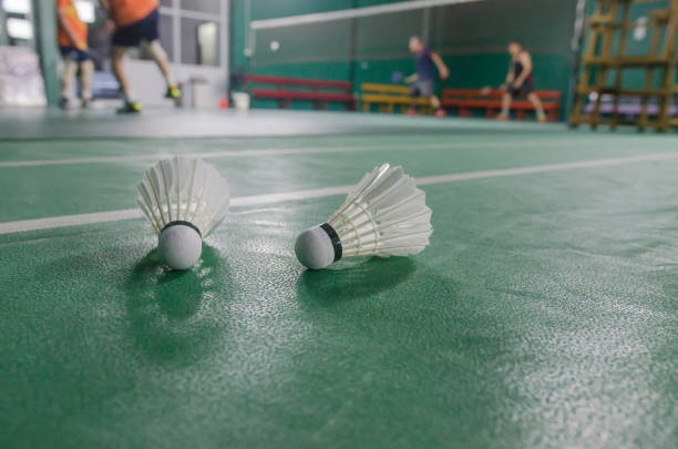 istock Shuttlecock on the badminton court 1293461321