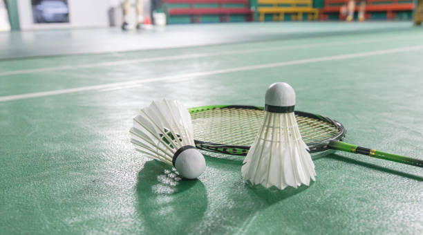 istock Shuttlecock on the badminton court 1293461335
