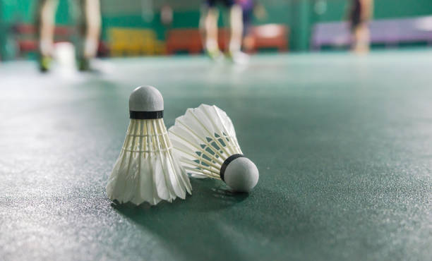 istock Shuttlecock on the badminton court 1293462136