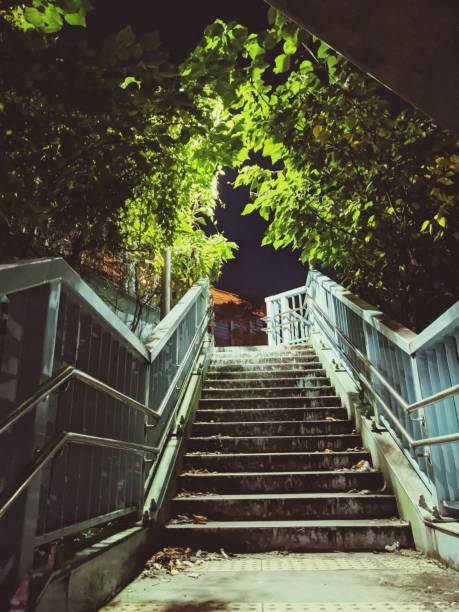 istock Illuminated stairs and trees at night. 1293462275
