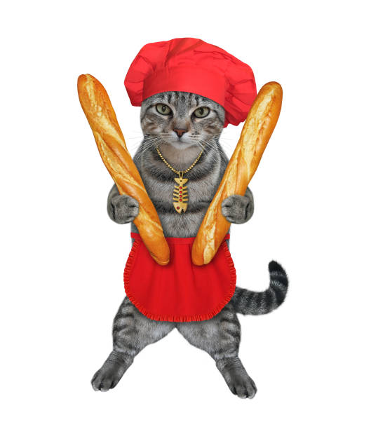 istock Cat gray baker holds french bread 1293464495