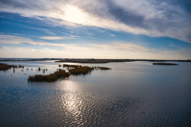 istock Irresistible floods on the Samara river on the dnieper in the evening light 1293465435