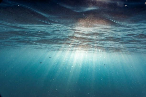 istock View of underwater sea 1293466597