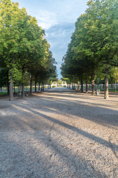 aleja między drzewami w parku augarten w wiedniu, austria. - lane sunlight sunbeam plant zdjęcia i obrazy z banku zdjęć