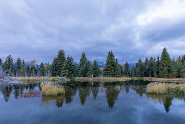 istock Scenic Reflection at Autumn in the Tetons 1293470972