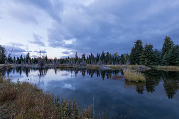 istock Scenic Reflection at Autumn in the Tetons 1293470976