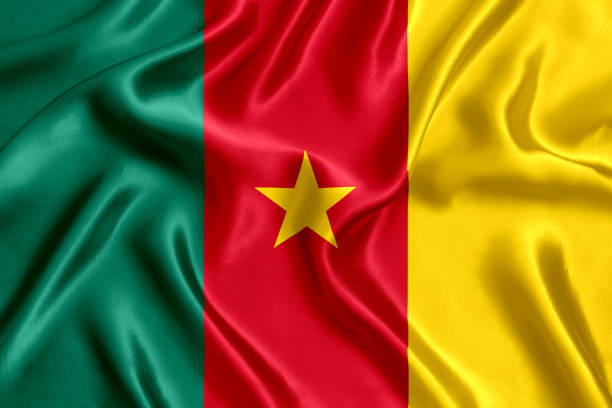 Flag of Cameroon.