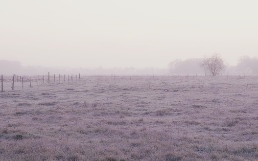 Winter in the English Countryside and a shroud of icy fog drifts across the frozen landscape
