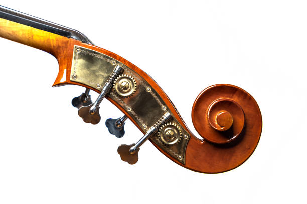istock Double bass head stock with strings and tuners 1293477370