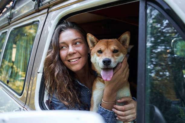istock Girl cuddling a fluffy energetic dog 1293478819