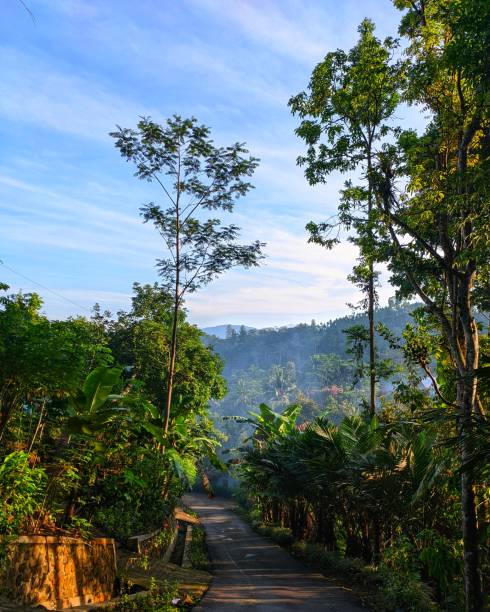 istock Lanscape sunrise with mountains and blue sky background, Indonesia 1293478937