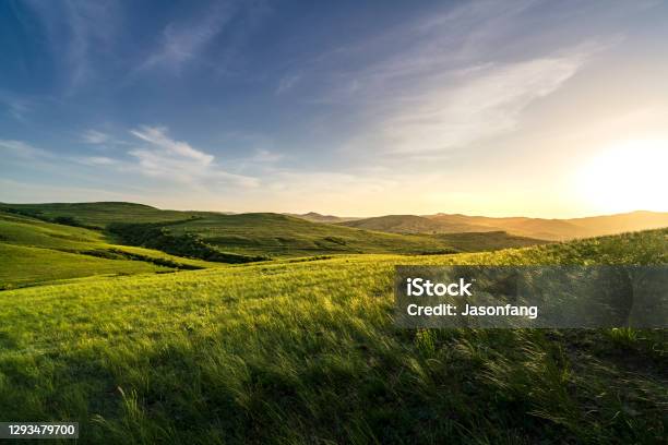 Prairie Stock Photo - Download Image Now - Agricultural Field, Environmental Conservation, Green Color