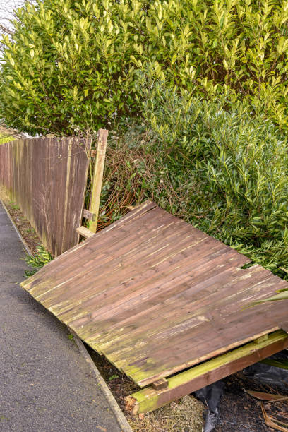 istock Wooden fence blown down by strong winds 1293480814