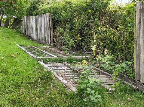 Wooden fence with an open gate and a footpath leading in a cottage garden