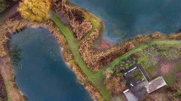 istock Fish ponds - aerial view 1293487204