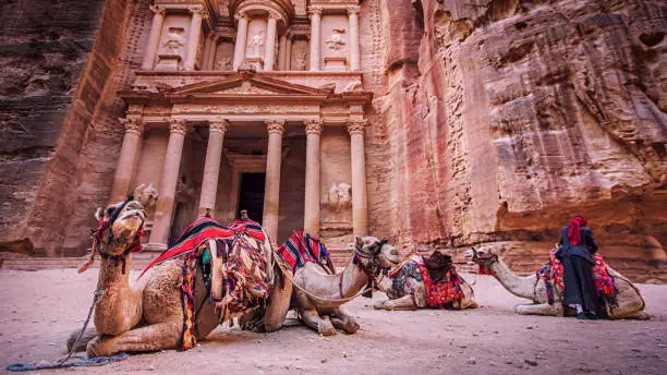 Photo of Camels in front of the Treasury in Petra, Jordan