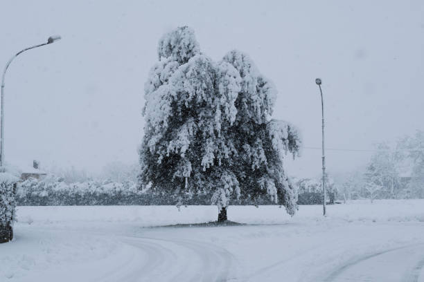 istock Street with snow 1293487491