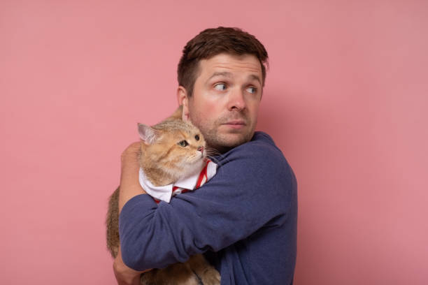 istock young man with british tabby cat isolated on pink background. 1293487538