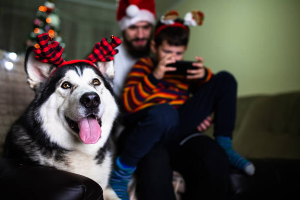 istock A dog spending Christmas with his family 1293490971