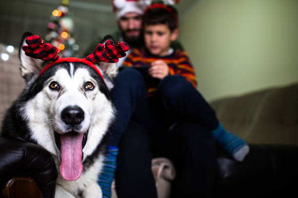 istock A family spending quality time together at Christmas 1293490973