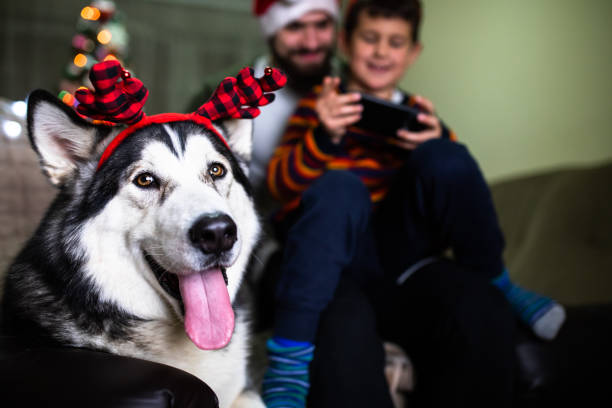 istock Family bliss at Christmas 1293490976