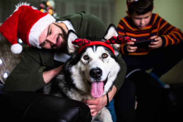 istock Loving our pets during the holidays 1293490978