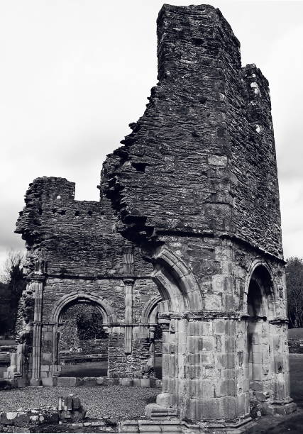 Melifont Abbey, Ireland
