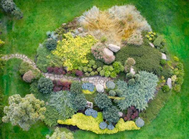 istock Large flower bed with various ornamental plants, top view. 1293492631