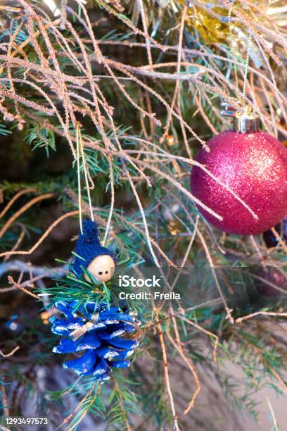 Decaying Christmas Tree With Dropped Needles 4 Stock Photo - Download Image Now - Christmas Tree, Ugliness, Rotting