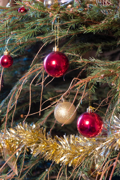 istock decaying Christmas tree with dropped needles  1 1293497591
