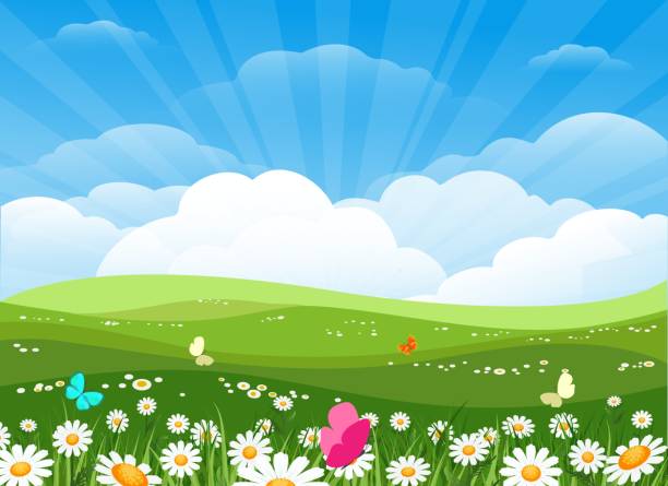 Spring flowers meadow landscape Spring flowers meadow landscape. Green nature background with easter flowering, summer morning backdrop with trees, sky and flower field perfection illustrations stock illustrations