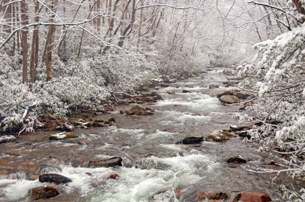 frühlingsschnee auf einem gebirgsstrom - winter stream river snowing stock-fotos und bilder