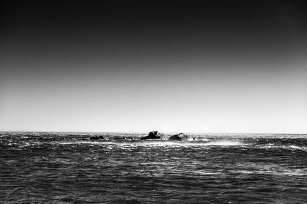 View of stones in sea against sky