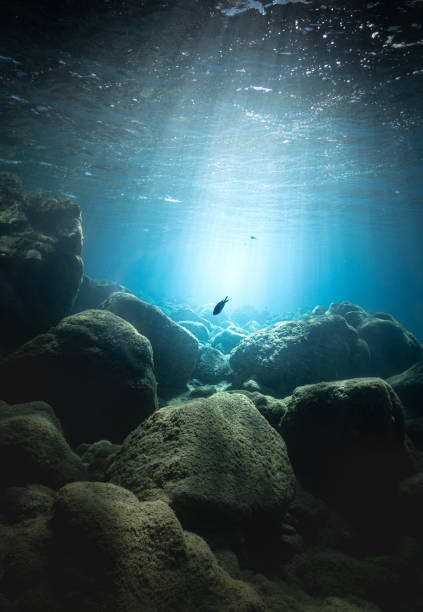 istock Close-up of stones underwater 1293507793