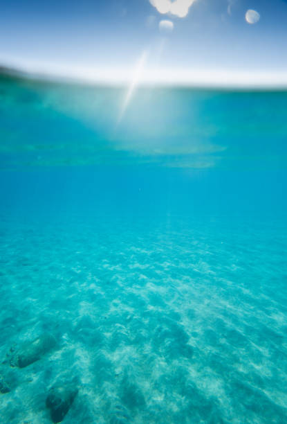 istock Blue sea with lens flare 1293508030