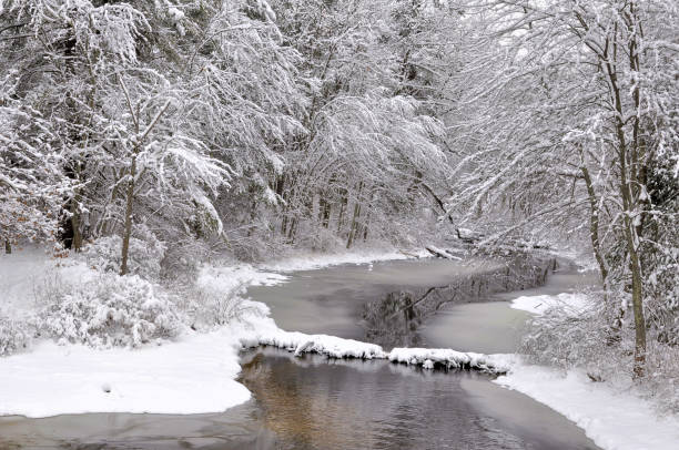 Snow-Covered Trees along Banks of Frozen River Beautiful and tranquil New England Winter scene. Fresh snowfall along partially frozen Squannacook River in Townsend, Massachusetts. snow river stock pictures, royalty-free photos & images