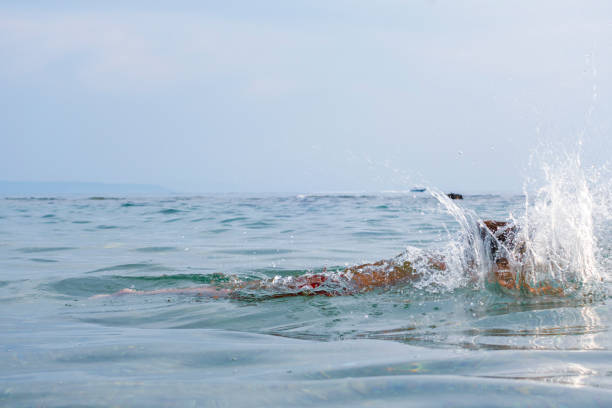 istock Boy Summer fun on the sea 1293517308
