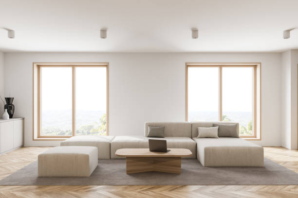 istock White living room interior with sofa 1293517462