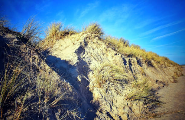 Curracloe Beach Dunes, Wexford, Ireland