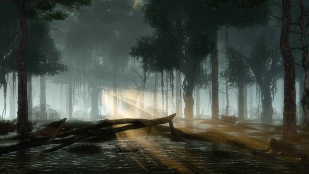 istock Scary night forest and mystical lights above swamp 1293522500