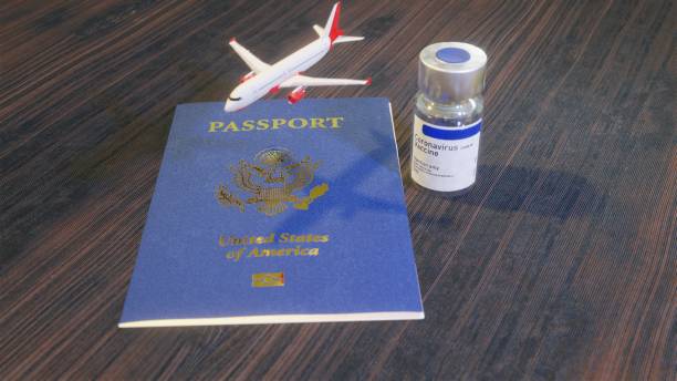 istock Coronavirus COVID-19 Vaccine Immunity passport airplane 1293527552