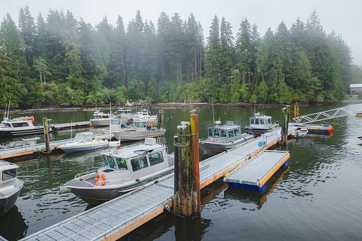 Port Renfrew Marina on a misty, cloudy evening as all of the local fishing charter boats are docked.