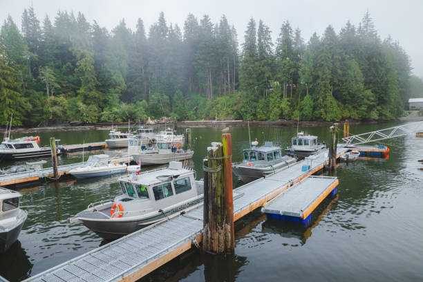 Port Renfrew Fishing Charters Port Renfrew Marina on a misty, cloudy evening as all of the local fishing charter boats are docked. port renfrew stock pictures, royalty-free photos & images