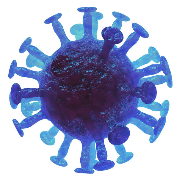 istock Closeup Coronavirus Cells 3D Illustration 1293531240