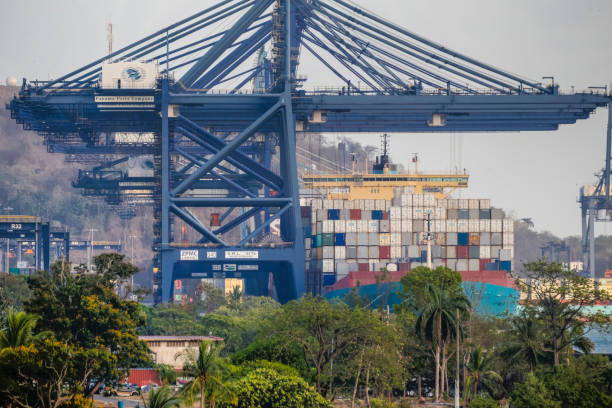 grues marines au port de panama city le long du canal de panama - gatun photos et images de collection