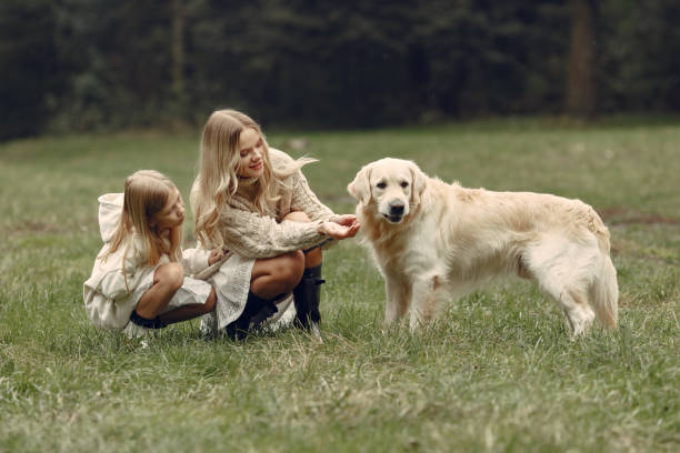 istock Happy family having fun in autumn forest 1293535997