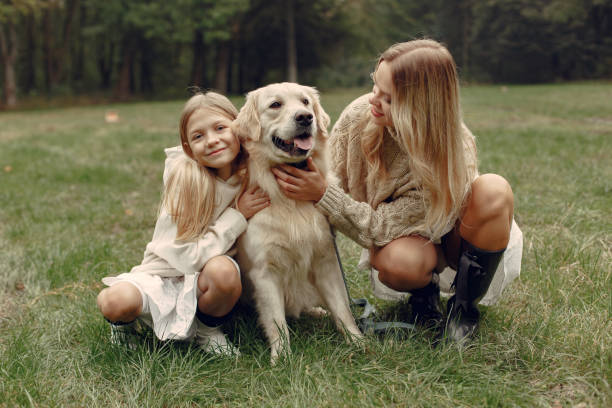 istock Happy family having fun in autumn forest 1293536579