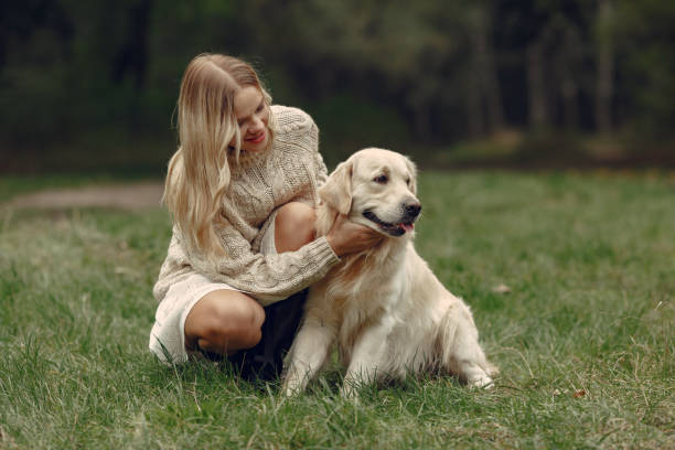 istock Woman walks in autumn forest with a dog 1293536674