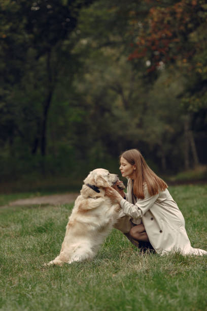 istock Woman walks in autumn forest with a dog 1293536691